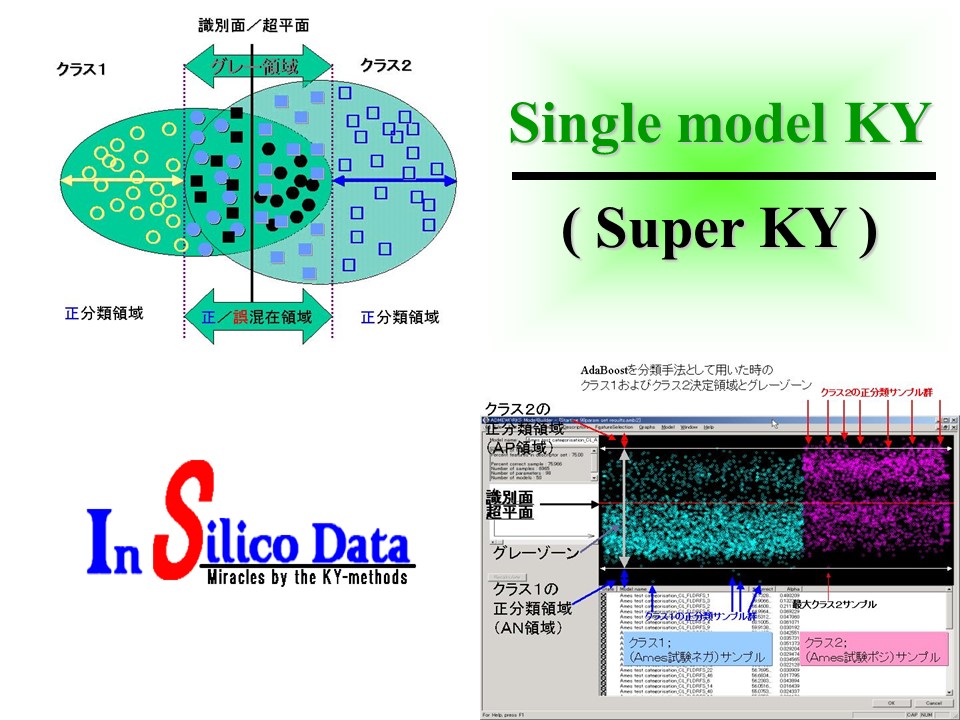 Single Model KY-method 写真:PPTスライド