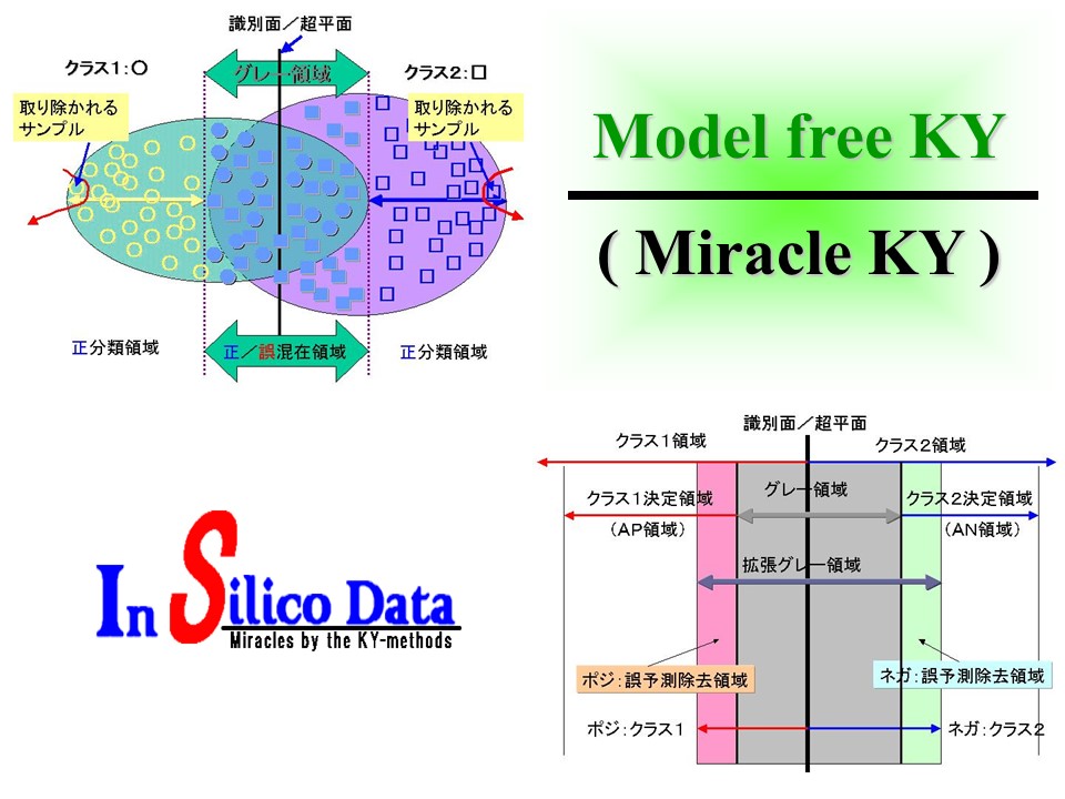 Model free KY-method 写真:PPTスライド