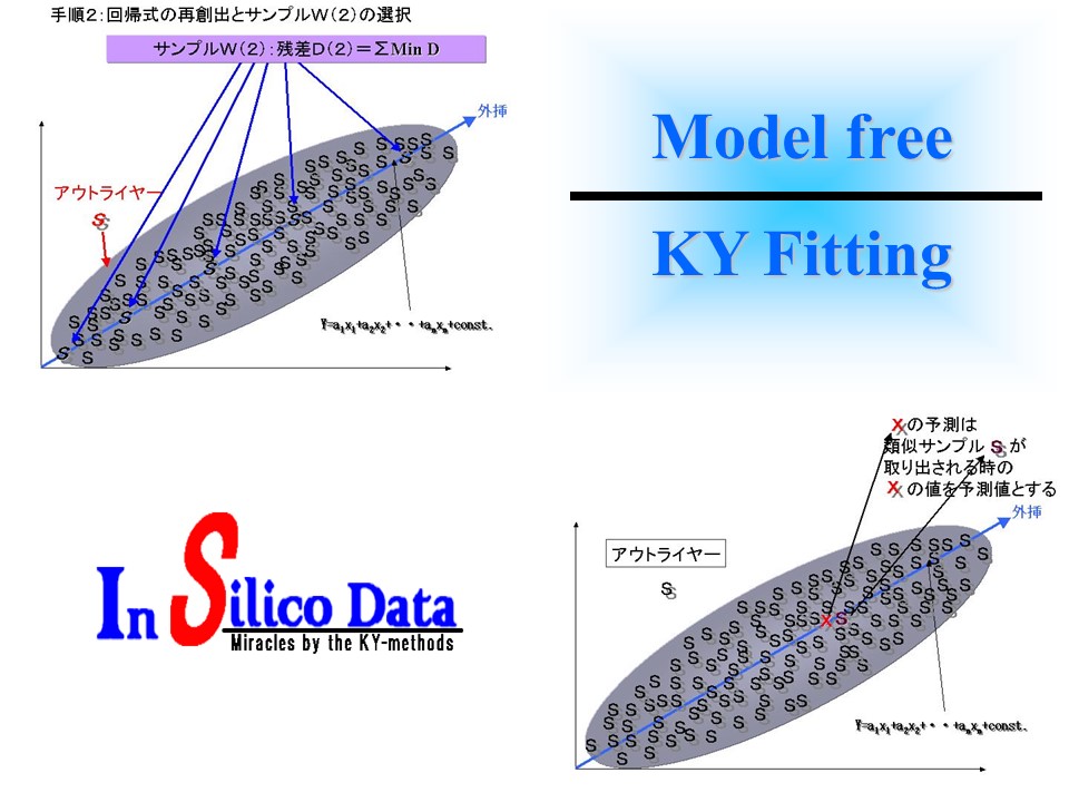Model Free KY-fitting 写真:PPTスライド